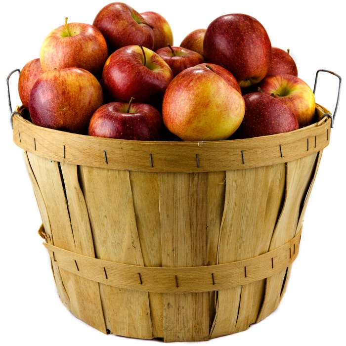 Cost of bushel of apples