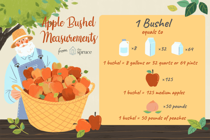 Cost of bushel of apples