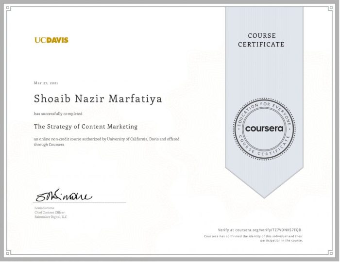 What is a digital marketing strategy coursera quiz answers