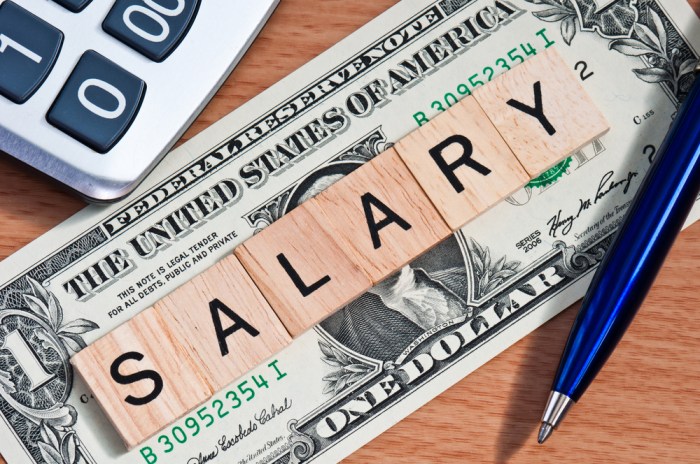 Choose the best translation: salary sueldo ingreso beneficio deuda