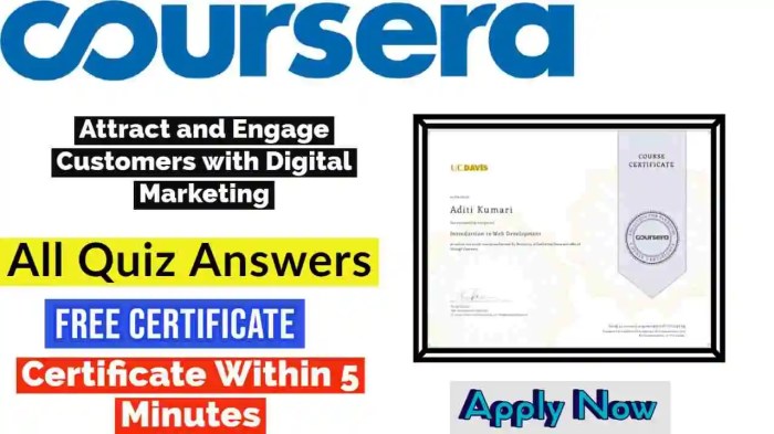 What is a digital marketing strategy coursera quiz answers